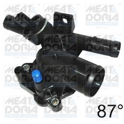 Thermostat, coolant